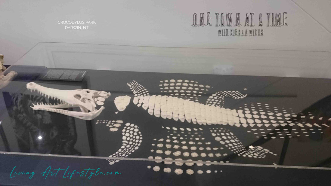 Crocodile Skeleton fossil Darwin Museum NT Crocodylus Park