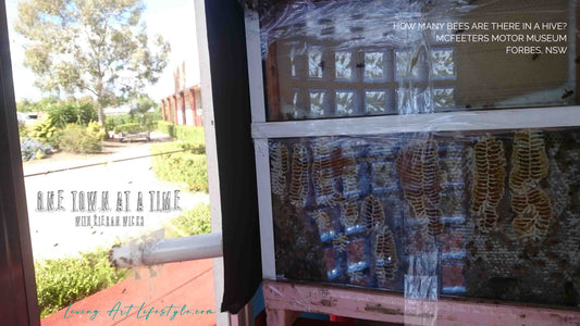 Glass Bee Hive, Honey Combs, McFeeters Motor Museum Forbes Central West NSW Tourist Attraction