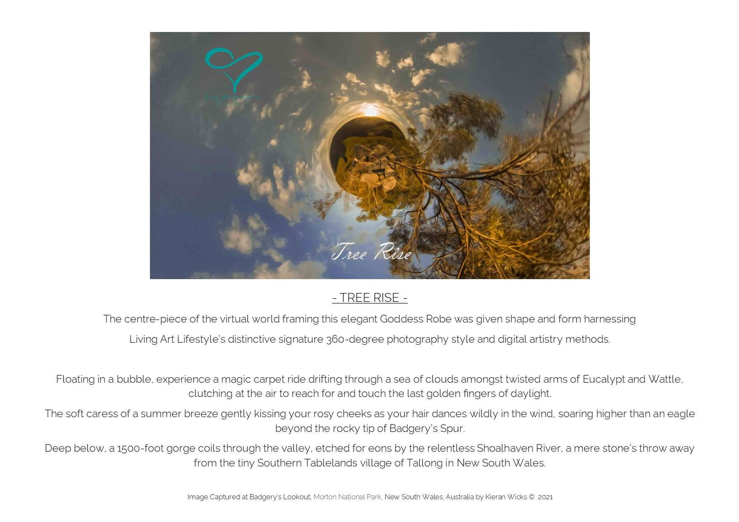 TREE RISE DESIGN COLLECTION - LIVING ART LIFESTYLE - DESIGN STORY BACKGROUND DIGITAL ART - BADGERRYS LOOKOUT - SOUTHERN TABLELANDS NEW SOUTH WALES
